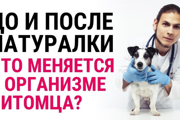 Ссылка кракен официальная тор